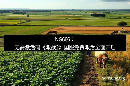 NG666：无需激活码《激战2》国服免费激活全面开启
